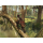 Switch Assassin's Creed Compilation (Rebel Collection + AC3 Remaste - 1362902 - zdjęcie 2